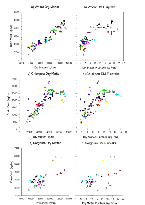 Six scatter plot matrices of dry matter versus grain yield, and dry matter (DM) P uptake versus grain yield for a-b) wheat, c-d) chickpea and e-f) sorghum at deep P sites in Queensland.