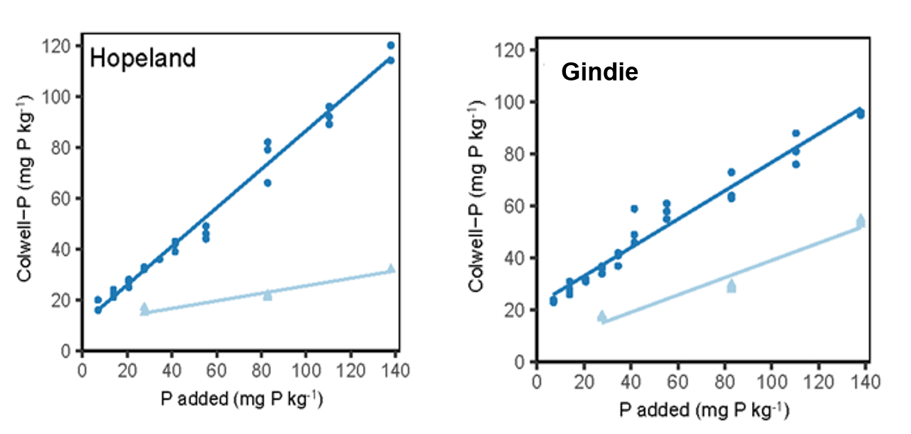 Line graphs showing potentially plant soil available P indicated by Colwell-P following fresh (dark blue line) and aged (light blue line) MAP applications for sites at Hopelands and Gindie. Both were Vertosols with similar PBI (~120), with slightly higher initial Colwell P at Gindie