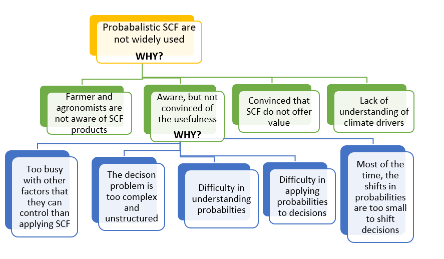 Simple root cause analysis for actual use of probabilistic seasonal forecasts being lower than the potential 