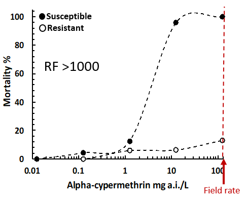 Figure 1 is a line graph which shows the sensitivity of a typical Australian susceptible and resistant green peach aphid population to the synthetic pyrethroid, alpha-cypermethrin.  RF = Resistance Factor   