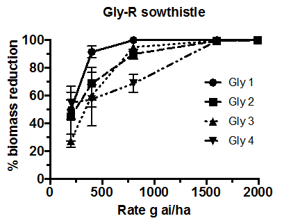 Figure 2 is a line graph which shows the efficacy of four commercial glyphosate products in controlling of glyphosate resistant sowthistle from NSW as confirmed by outdoor pot trials by Plant Science Consulting