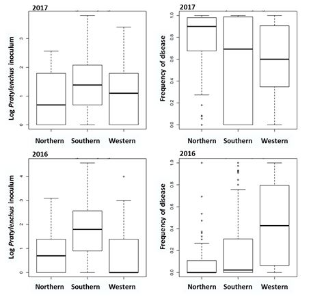 This is a set of four box and whiskers graphs showing the regional average pathogen inoculum level (log DNA copies per gram soil, left) and frequency of disease incidence (right) in fields within a region for Pratylenchus in 2016 and 2017. Results over four seasons have clearly indicated the recurring nature of some of the soilborne diseases in all the regions although the severity of these diseases may vary between seasons. For example, Pythium root rot and Pratylenchus were commonly observed in the northern region (Figure 4). 