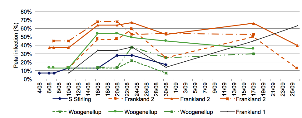 line graph of petal infection levels in frankland, woogenellup and south stirling 