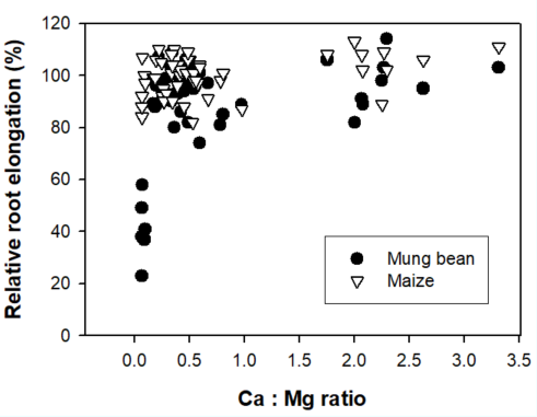 This scatter graph shows the effect of Ca to Mg ratio on the rate of root elongation (a measure of Ca deficiency) for maize and mungbean in acid soils limed with MgO and mixtures of MgO and CaSO4