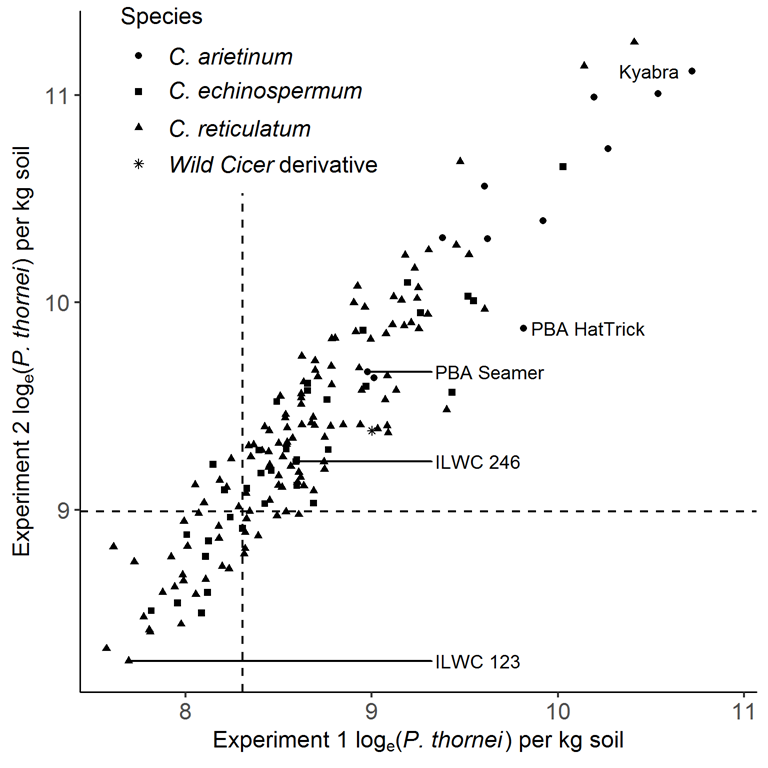 This scatter graph shows the accession means (best linear unbiased predictors) of Pratylenchus thornei population densities for Cicer accessions included in both experiments showed a strong genetic correlation between experiments (r = 0.844, n = 167). Vertical and horizontal dashed lines denote the cut-off points for the top 20% accessions for resistance to P. thornei. (Source: Reen et al., 2019).