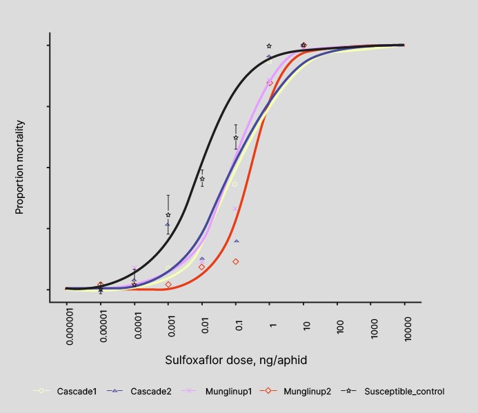 Figure 6. Line graphs showing the dose response of sulfoxaflor for four green peach aphid populations and the susceptible control. The populations are named according to their collection location.