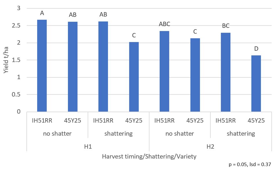 Figure 3 is a column graph of harvested yield in response to harvest timing and simulated shattering by variety- Wellington 2015. H1 is harvested ‘on time’, H2 harvested with a 14-day delay. IH51RR contains PodGuard technology, 45Y25 does not.