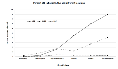 . STB severity (% leaf area affected) across time in wheat (cv. Razor CL Plus, susceptible to STB) at three different locations in Victoria during 2021.