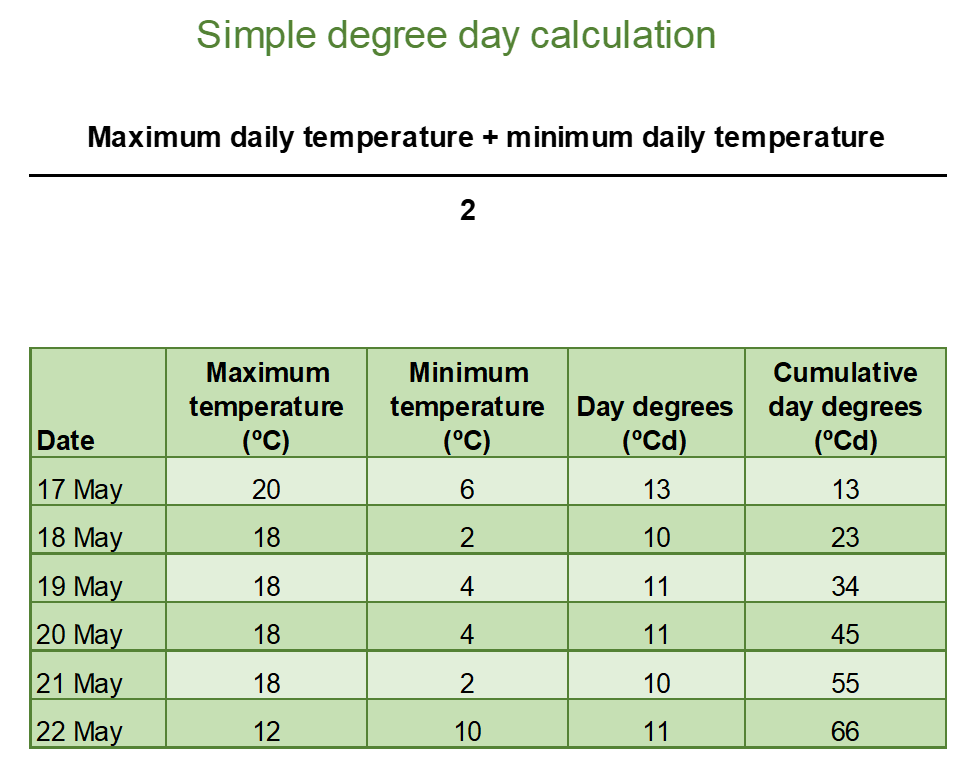 Diagram and table showing a simple calculation of day degrees (average daily temperature) and accumulation of day degrees over time to calculate a thermal time target.