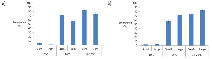 This is a set of two column graphs displaying the impact of sowing depth and temperature on emergence and the impact of seed size and temperature on emergence. The results showed that both seeding depth and seed size had an effect on emergence.