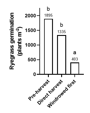 Figure 2. Annual ryegrass germination from plant and soil samples taken pre- and post-harvest at Conmurra, where direct harvest and windrowing strategies were used with an impact mill. 