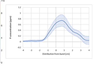 Line graph showing banded P in Vertosols enriching only small soil volumes in and close to the band, as shown by this net increase in P in diffuse gradient technology (DGT) strips at varying distances from an MAP band