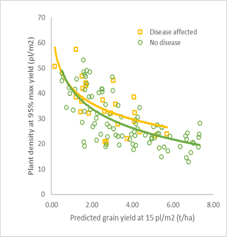 The plant density required to achieve 95% of maximum grain yield as a function of grain yield potential (defined as the grain yield achieved by 15 plants/m2 in the experiment), in experiments that were disease affected or had no disease. 