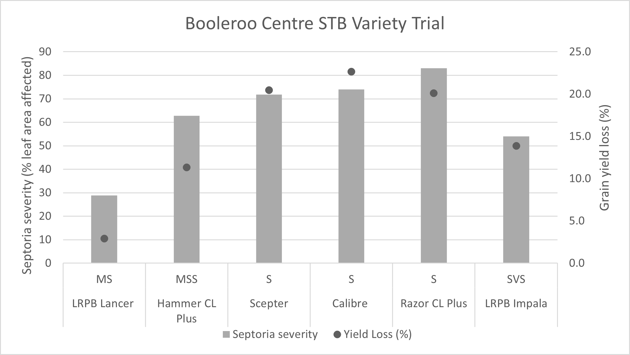 . Grain yield losses and STB disease severity at Booleroo Centre STB variety trial in 2022. Yield losses were significant in Hammer CL PlusA, ScepterA, CalibreA, Razor CL PlusA and LRPB ImpalaA.