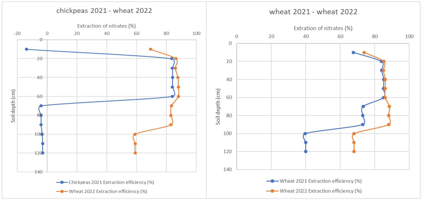 Side-by-side graphs showing soil nitrate extraction efficiency from soil profile presented as a % of the total soil nitrates present at planting for both the chickpea (left) and wheat (right) in 2021 and the following wheat cover crop in 2022.