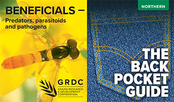 Cover image for Beneficials - Predators, parasitoids and pathogens