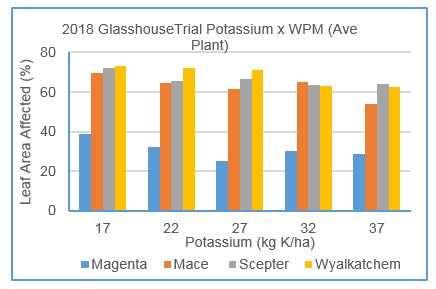 Bar graph of leaf area affected and potassium rates 