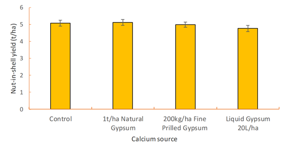 This column graph illustrates the effect of in-crop calcium fertilisation strategy on peanut variety ‘Kairi’ yield.  Error bars are +/- standard error of treatment mean.