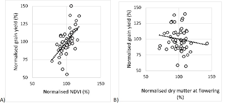 Figure 2. Line graph showing on the left hand side the relationship between normalised NDVI and normalised grain yield alised at flowering with data taken from lentil variety trials located on sandhills of the northern Yorke Peninsula from 2017-2020 and on the right hand side the relationship between normalised grain yield and biomass at flowering with data taken from PBA breeding program located on loamy soils near Melton from 2012-2014.