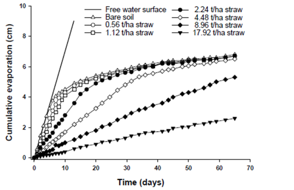 Figure 4 is a line graph showing the effect of rate of applied wheaten straw on the cumulative evaporation from moist soil columns at an evaporative potential of 7 mm/day over 65 days.