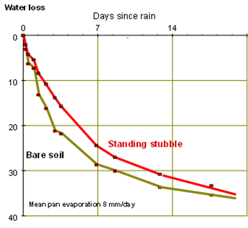 Figure 5 is a line graph showing cumulative evaporation under 4 t/ha stubble in weighing lysimeters. Source: Dalgliesh (2014)