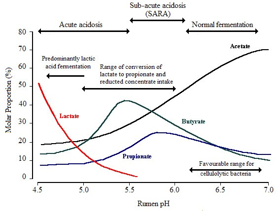 This line graph illustrates the changes in molar proportions of VFA at with changing pH as presented by Packer (2010) BVSc honours thesis.