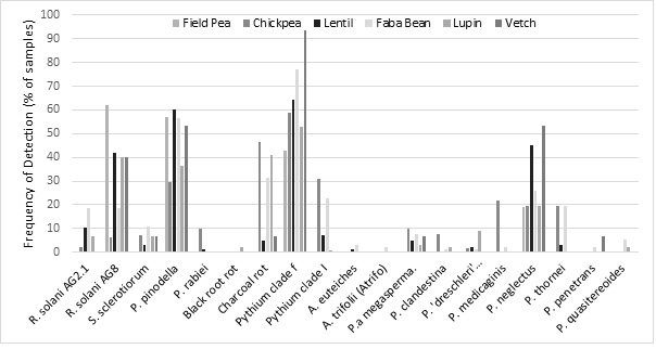 Bar graph showing frequency of detection over threshold levels of pathogens using qPCR in samples of field pea, chickpea, lentil, faba bean, lupin and vetch, received nationally in 2020.