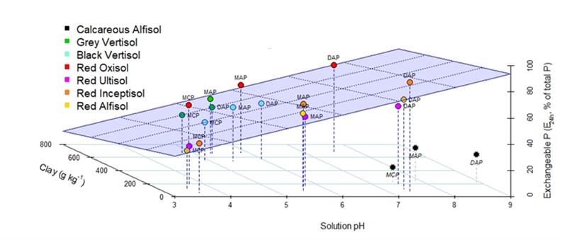 Graph showing the relationship between an estimate of bioavailable P (E24h), pH in the band environment and soil clay content is shown for mono- and di-ammonium P (MAP and DAP) and mono-calcium P (MCP, or triple super phosphate) in a range of contrasting soil types