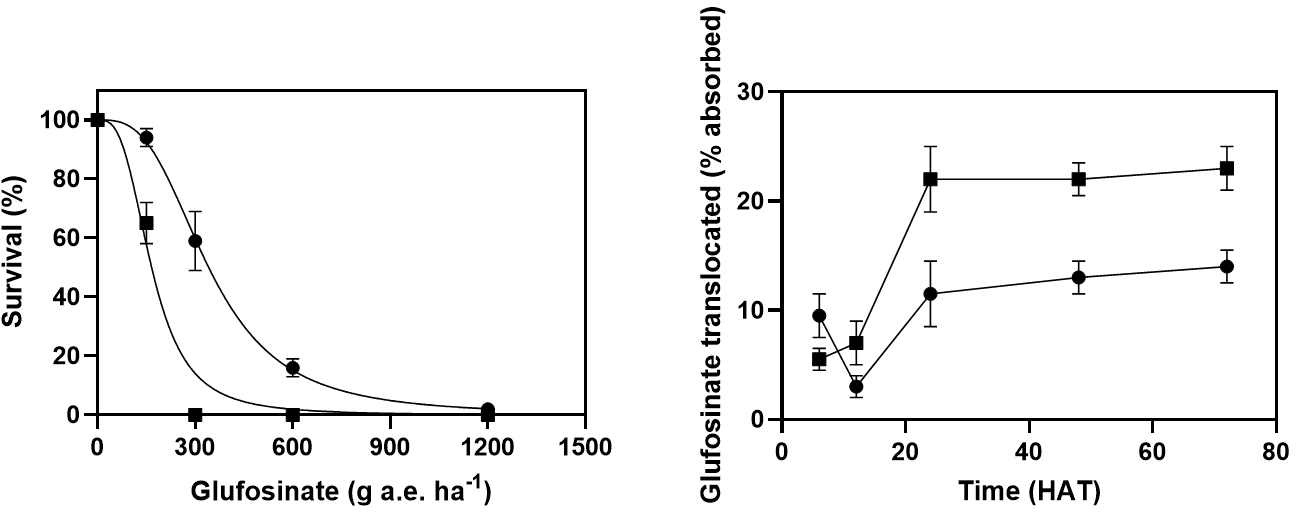 . Left – survival of annual ryegrass (circles) and wild oats (squares) following treatment with glufosinate under controlled conditions. Right – translocation of glufosinate from the treated leaf to the rest of the plant in annual ryegrass (circles) and wild oats (squares). From Kumaratilake et al. 2002.