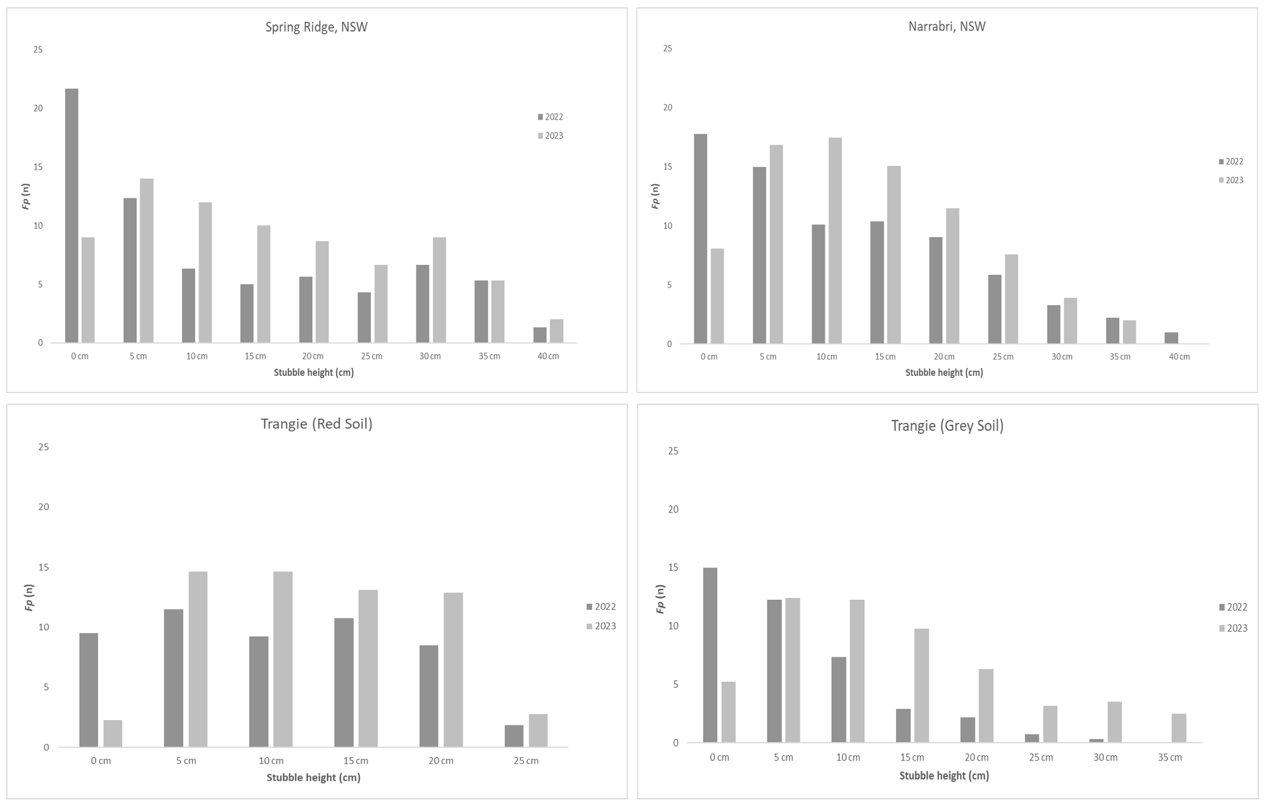 Four column graphs showing preliminary data of the incidence of Fp recovery (Fp (n) being number of tillers producing Fp colonies) at 5 cm increments along the stubble length (stubble height, cm) at four different Northern Farming Systems experimental sites in northern NSW.