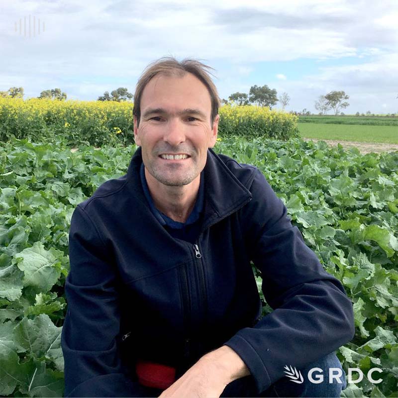 Farming systems in low and medium rainfall areas of WA