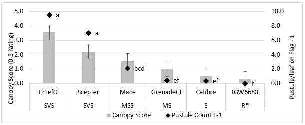 Figure 2. Powdery mildew canopy score (0 = no powdery mildew, 5 = severe infection) and pustule count on F-1 (number of pustules on the leaf flag – 1) for the nil fungicide treatments in the variety * fungicide trial at Bute 22/9/2021. 