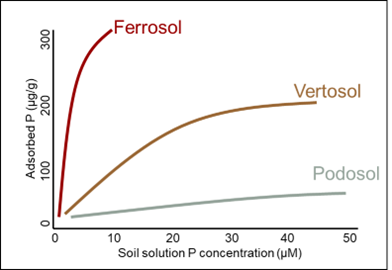 Line graph of the relationship between soil solution P concentration and the amount of P adsorbed to the soil solid phase for soils with a high (Ferrosol), moderate (Vertosol) and low (Podosol) PBI