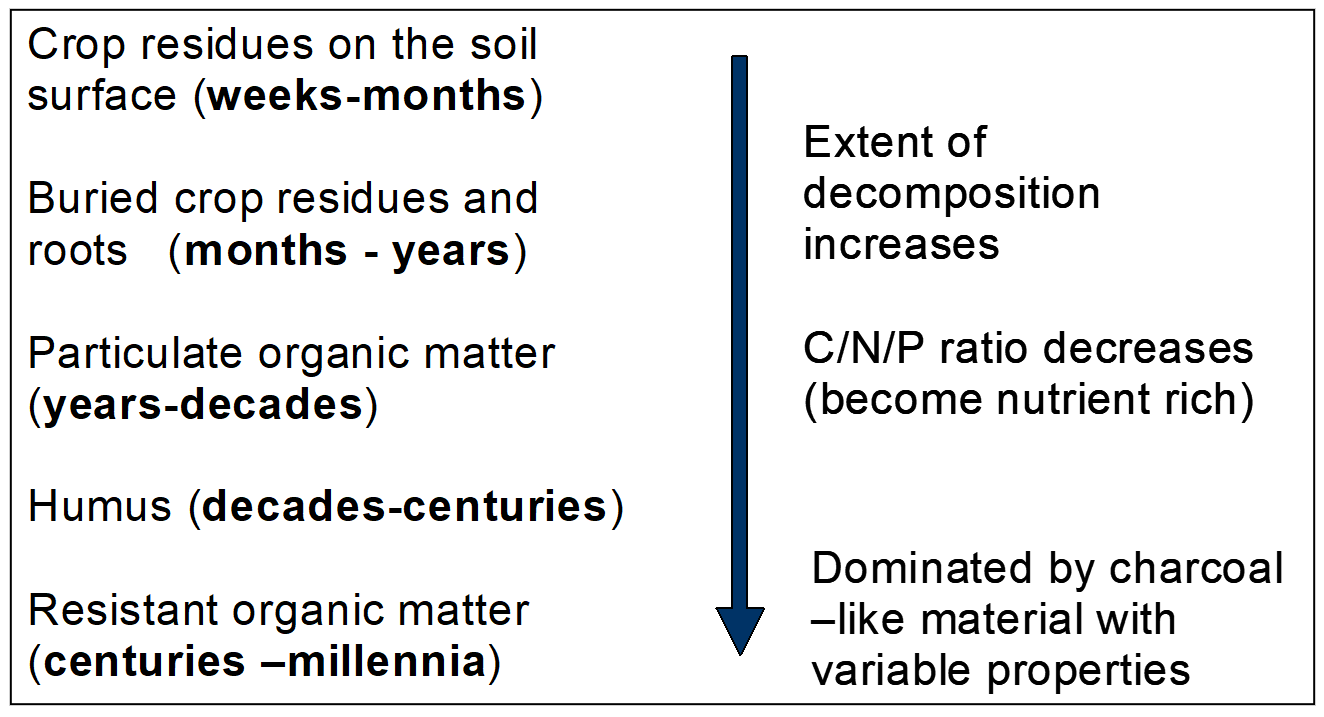 Flow chart showing forms of soil organic matter and carbon and their indicative ‘half-life’ in the soil, which also indicates how long the next decomposition stage takes to form