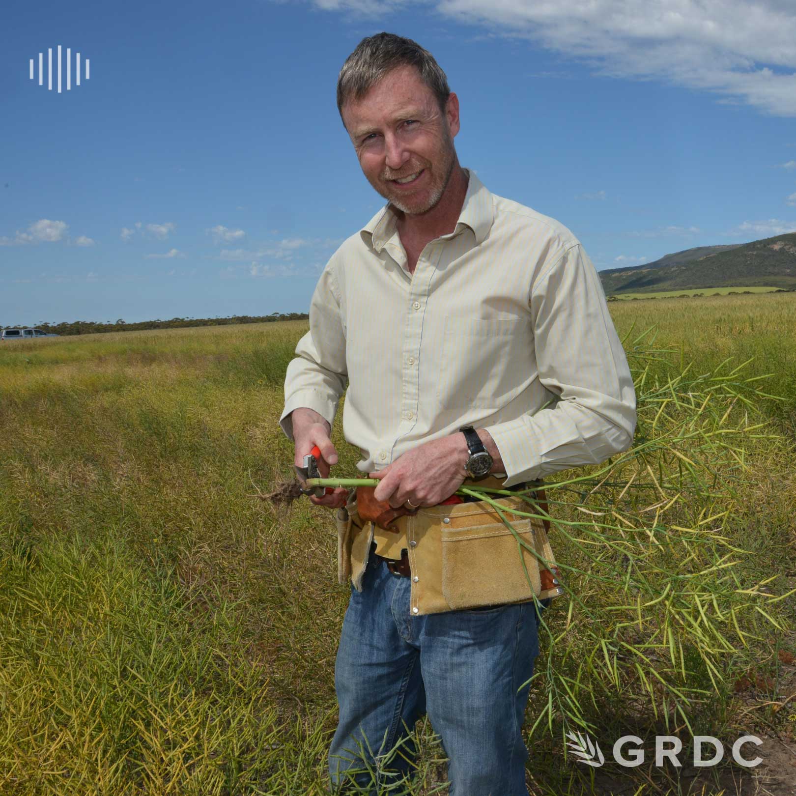 Reducing the impact of blackleg in canola