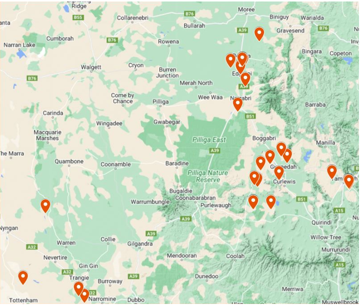 Map showing RWA positive samples collected in 2023 in northern NSW.