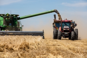 image of harvest