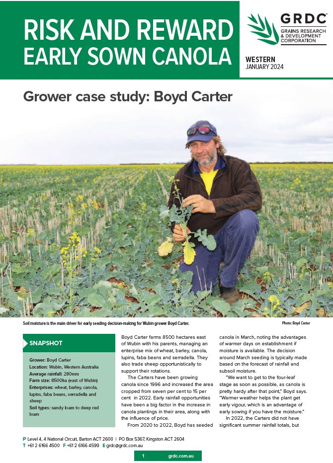 Boyd Carter: risk and reward early sown canola