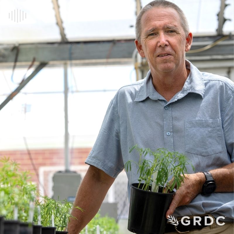 Getting a jump start on managing 2025 disease risks