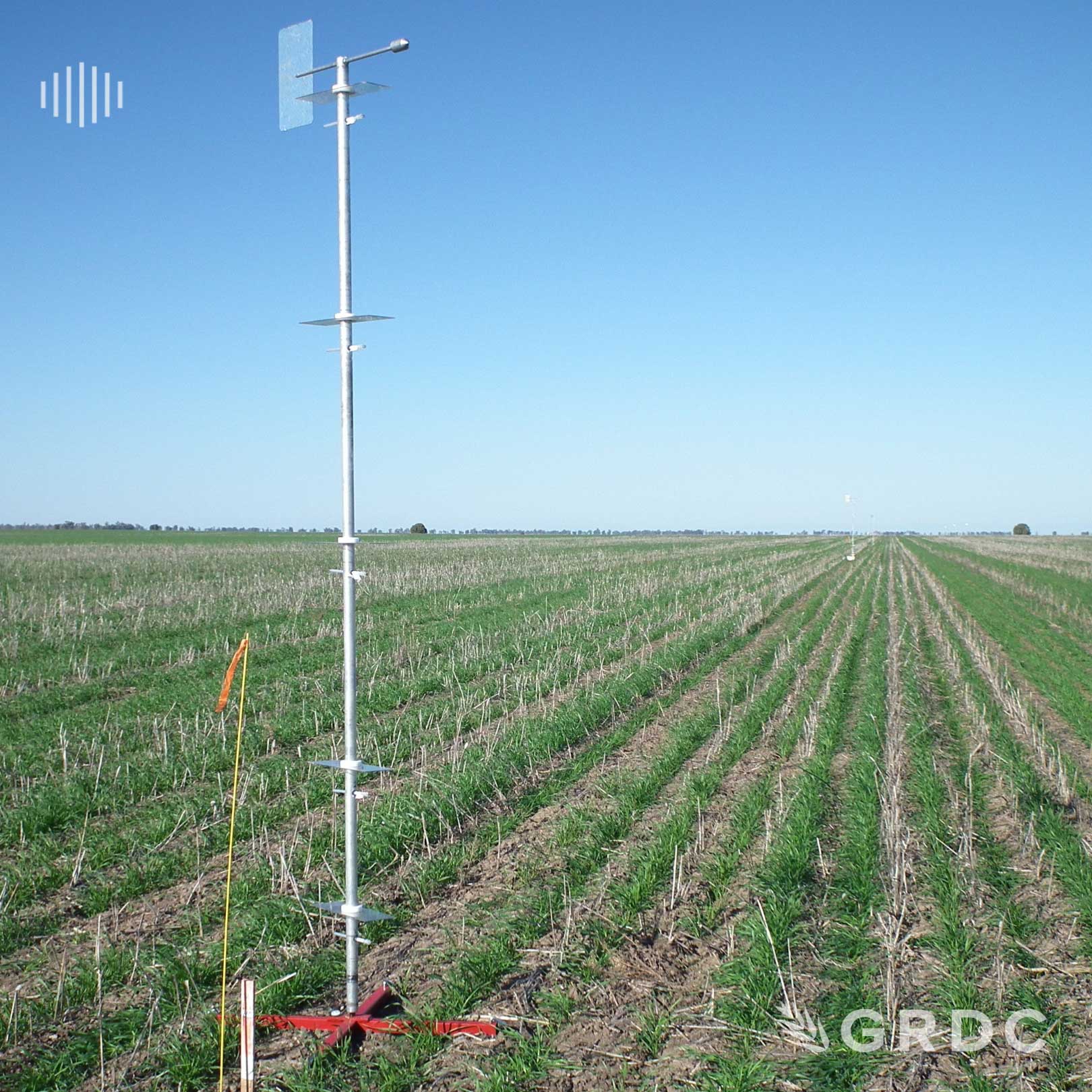 Predicting Nitrogen cycling and losses in Australian cropping systems