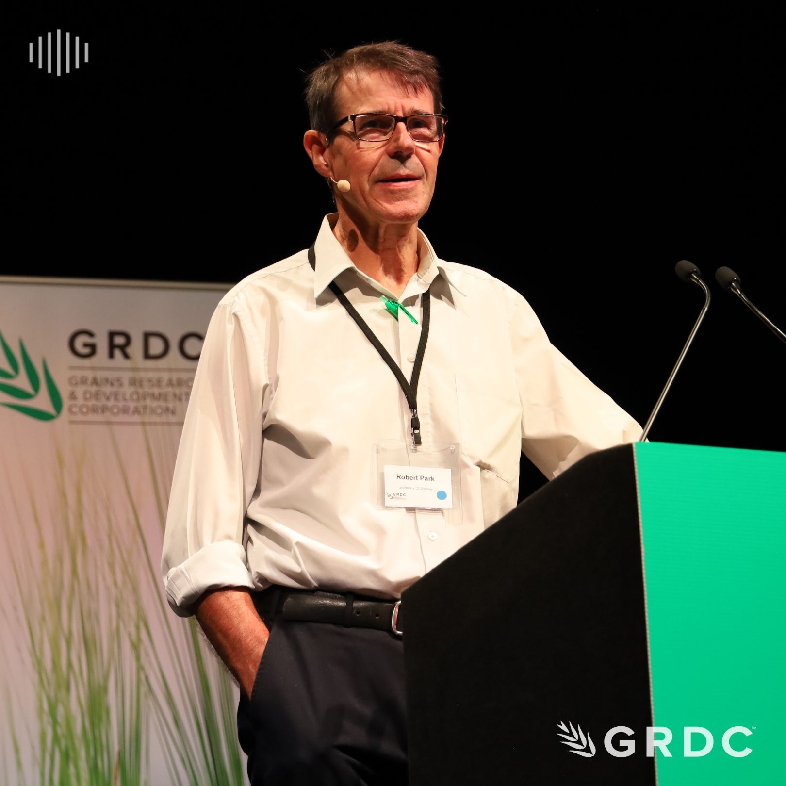 AFREN podcast series – Rusts and managing rusts with fungicides (1/3)