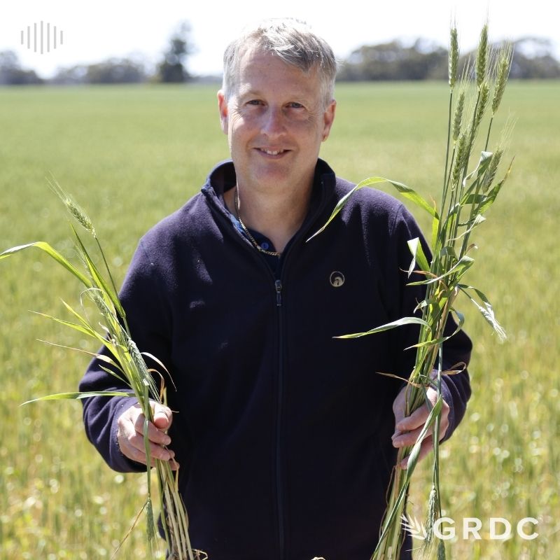Managing rhizoctonia in low and medium rainfall zones