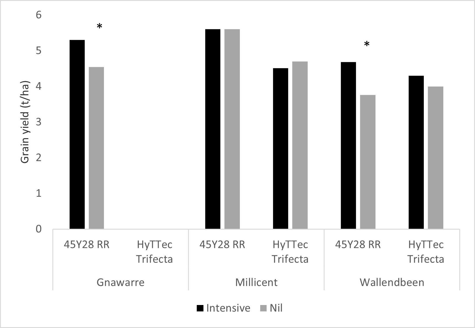 Column graph showing the effect of fungicide program (Intensive versus Nil) on grain yield of 45Y28 RR at Gnarwarre, Millicent and Wallendbeen and on HyTTec Trifecta at Millicent and Wallendbeen in 2021