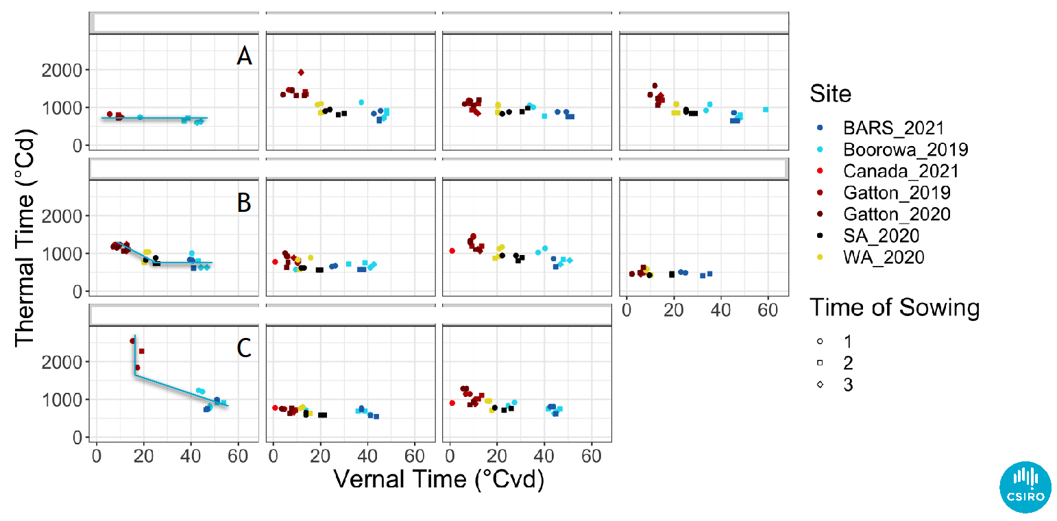 Scatterplots displaying data from the canola genetics project CSP1901-002RTX detailing three different vernal responses: A. no vernal response, B. facultative vernal response C. obligate vernal response