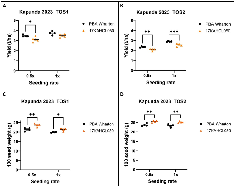A yield penalty associated with the 17KAHCL050 clopyralid herbicide tolerance trait is apparent with delayed sowing and at reduced seeding rates. Grain yield (A, B) and 100 seed weight (C, D) were measured for two times of sowing (TOS). Seeding rates targeted 0.5x and 1x standard plant density of 45 plants/m2. Differences marked with asterisks are significant at p<0.05(*), p<0.01 (**), and p<0.005 (***) (2-way ANOVA and Bonferroni’s multiple comparisons test).