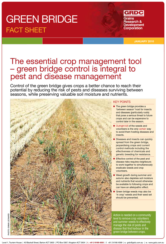 image of the Green Bridge Fact Sheet cover