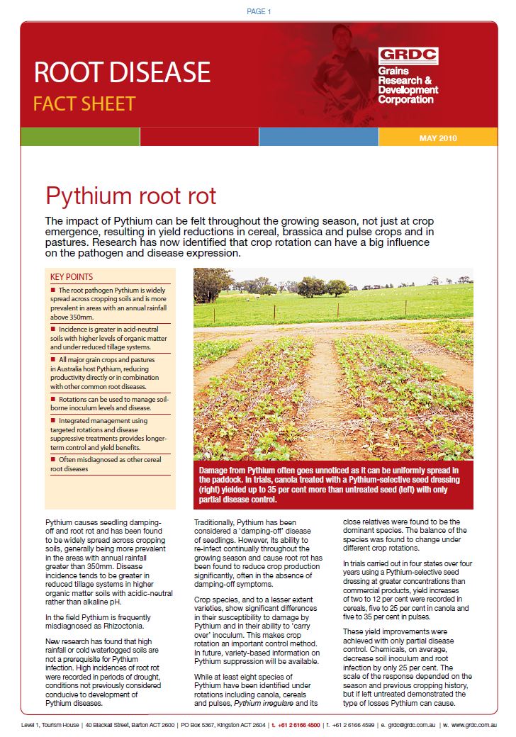 Image of Root Disease Pythium Root Rot fact sheet