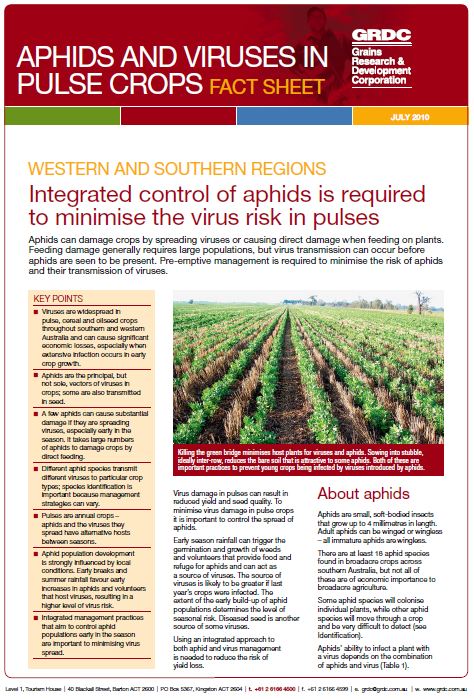 Aphids and Viruses in Pulse Crops Fact Sheet Western and Southern Regions
