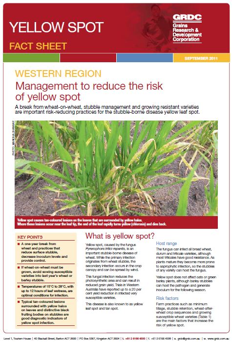 Yellow Spot fact sheet image
