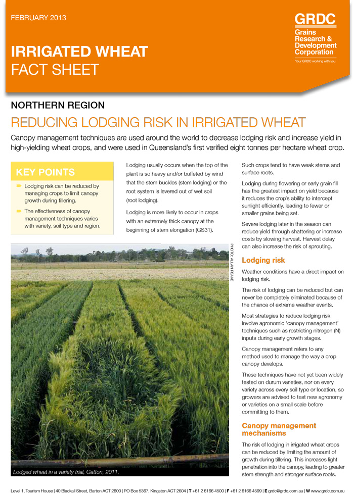 Irrigated Wheat: Reducing lodging risk fact sheet thumbnail image
